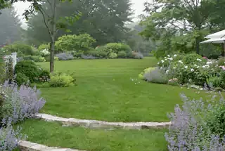 Landscaped Garden